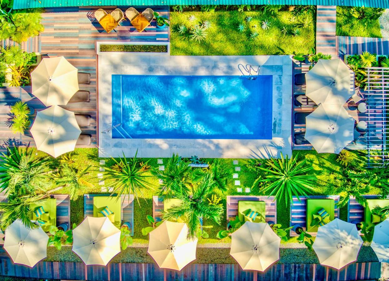 Exotico Beach Hotel Puerto Viejo de Talamanca Dış mekan fotoğraf