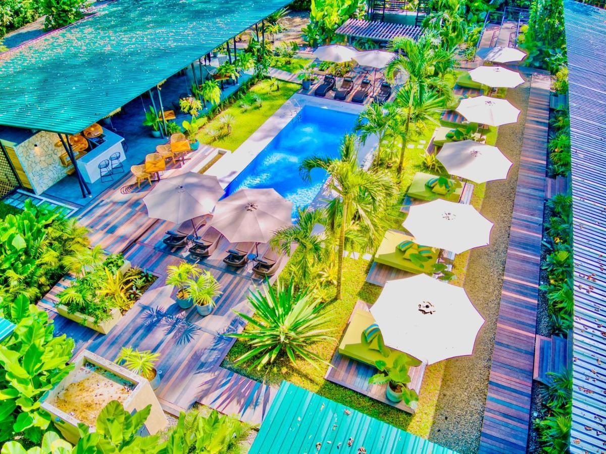 Exotico Beach Hotel Puerto Viejo de Talamanca Dış mekan fotoğraf