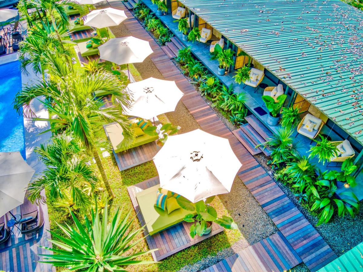 Exotico Beach Hotel Puerto Viejo de Talamanca Dış mekan fotoğraf